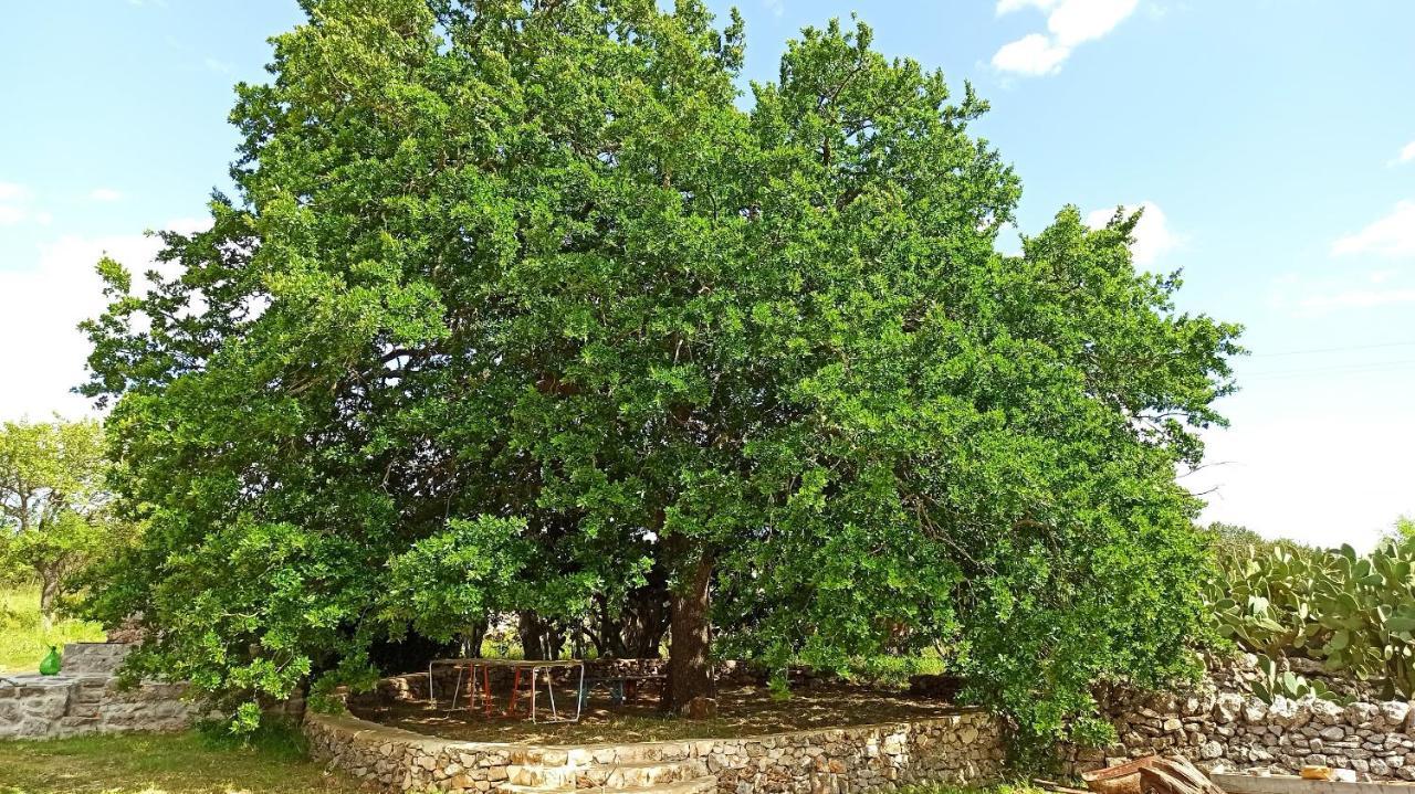 Masseria Lojazzo Ceglie Messapica Ngoại thất bức ảnh